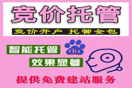 百度搜索引擎优化推广案例解析
